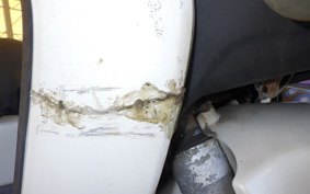HONDA BENLY 50 AA03