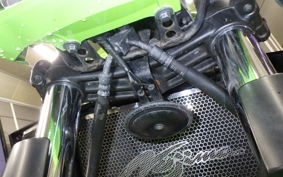 KAWASAKI ZRX1200 D 2015 ZRT20D