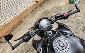 KAWASAKI Z900 2019 ZR900B