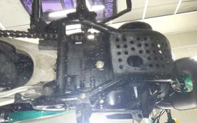 SUZUKI TS250 2019 TS2504