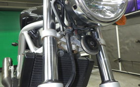 HONDA VTR 250 Gen. 2 2001 MC33