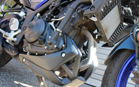 YAMAHA MT-25 RG74J