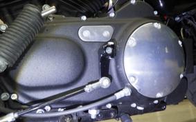 HARLEY XL1200X 2019