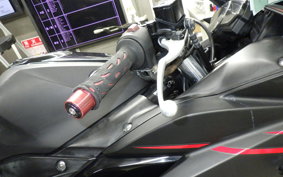 YAMAHA YZF-R25 2009 RG10J
