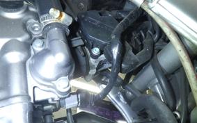 HONDA CRF250L MD38