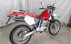 YAMAHA YZF-R25 RG74J