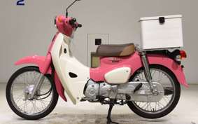 HONDA C110 SUPER CUB 2022 JA44