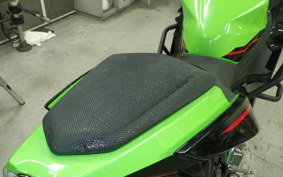 KAWASAKI NINJA 400 2022 EX400G