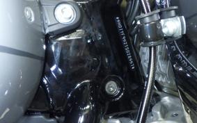 HARLEY FLFB1920 2026