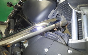 HARLEY XL883N 2015