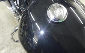 HARLEY XL883LI 2017