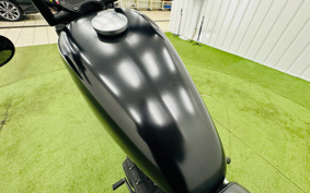 HARLEY XL883N 2010 LE2