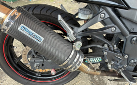 KAWASAKI NINJA 250R EX250K