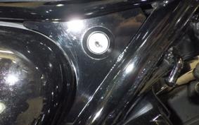KAWASAKI W800 2022 EJ800E