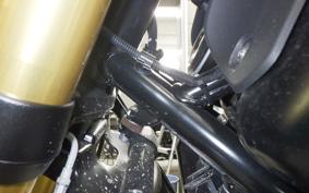BMW R12G/S 2025