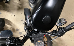 HARLEY XL883N 2010 LE2