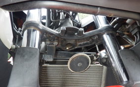 KAWASAKI NINJA 250 EX250L