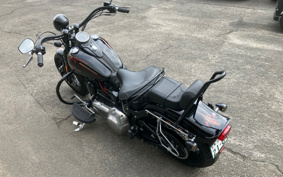 HARLEY FLSTSB 2008 JM5