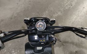 HONDA ZUMAR AF58