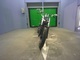 Фото Harley FXSTB 1450 2001 с японского аукциона