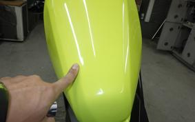 HONDA REBEL 250 2022 MC49