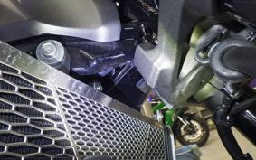 KAWASAKI Z900RS 2023 ZR900K