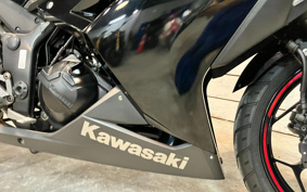 KAWASAKI NINJA 250 EX250L