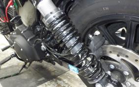 HARLEY XL1200NS 2020