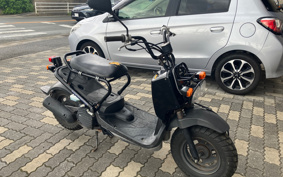 HONDA ZUMAR AF58