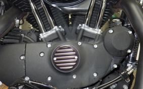 HARLEY XL1200NS 2020