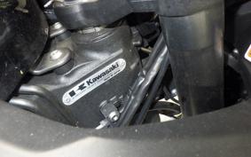 KAWASAKI NINJA 1000SX 2021 ZXT02K