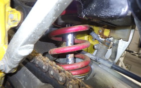 SUZUKI RM250 RJ17A