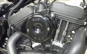 HARLEY XL1200NS 2018