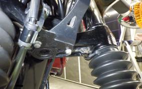 KAWASAKI W800 2022 EJ800E