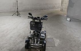 OTHER MINI BIKE ..