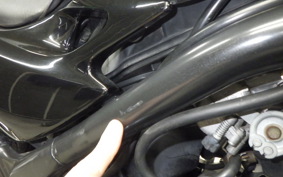 KAWASAKI BALIUS 250 Gen.2 2025 ZR250B
