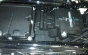 HARLEY FXBB1920 2025