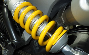 DUCATI SCRAMBLER 1100 2019
