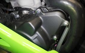 KAWASAKI ZX-4RR 2025 ZX400P