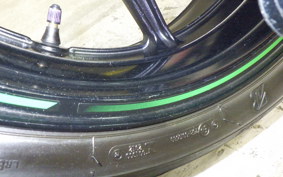 KAWASAKI NINJA 1000SX 2024 ZXT02K