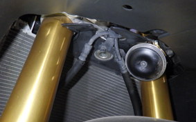 YAMAHA YZF-R1 2010 RN24J