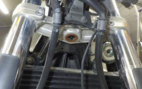 YAMAHA XJR1300 2000 RP01J