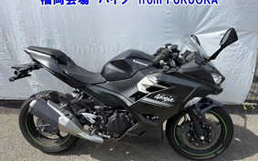 OTHER NINJA 250-2