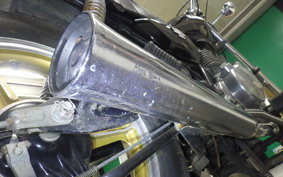 KAWASAKI Z250 Limited 2013 KZ250G