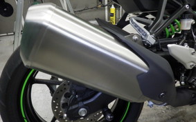 KAWASAKI ZX-4RR 2024 ZX400P