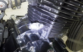 OTHER MUTT250 2025