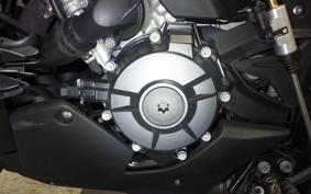 BMW S1000XR 2024
