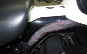 HARLEY XL1200N 2010