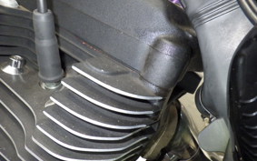 HARLEY XL1200RI 2009
