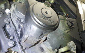 SUZUKI GIXXER 150 2001 NG4BG